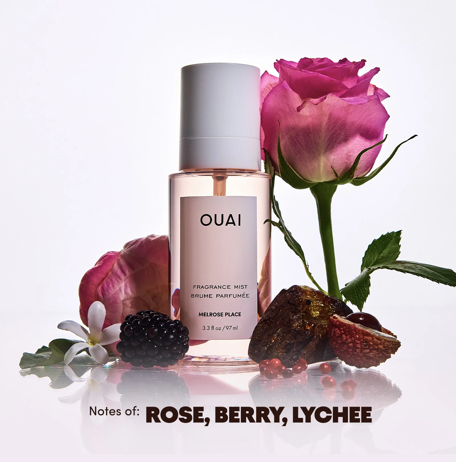 INSTANT OUAI-CATION KIT - Image 7