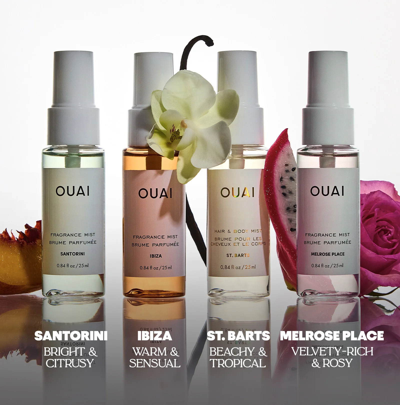INSTANT OUAI-CATION KIT - Image 8